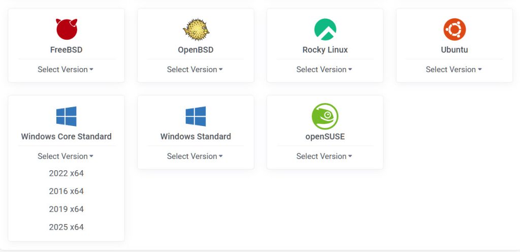 vultr windows vps